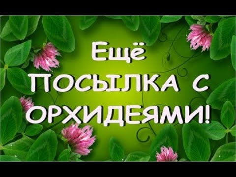 Ещё ПОСЫЛКА с ОРХИДЕЯМИ!!!БЛОКИ для ОРХИДЕЙ!!!