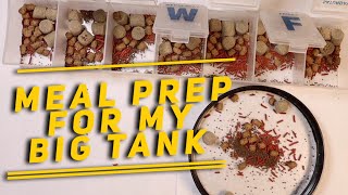 Meal Prep and Fish feeding with Xtreme Fish Foods