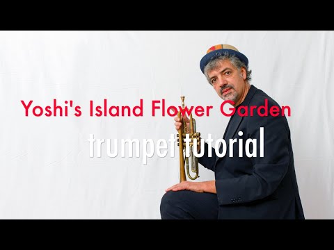 Meme Yoshi's Island "Flower Garden" Super Mario   Trumpet Tutorial
