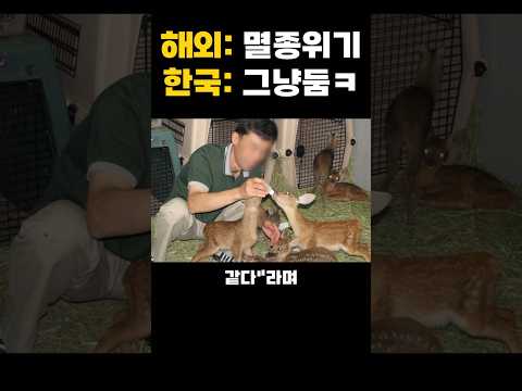 전세계는 고라니 멸종위기종인데 한국만 80% 몰빵되어 자동차랑 전쟁 중인 클라스