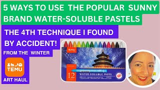 5 ways to use the popular Sunny brand 12 Colors Water-Soluble Pastels I bought from Temu