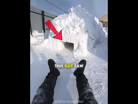 He Crawled Through the Snow to Find This 😳🐱