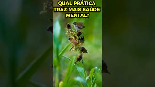 Observe os pássaros #palavradedeus #fe #evangelho