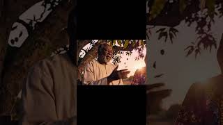 Download lagu Beauty attracts the eye but character keeps the...#aivideos #fyp #explore mp3 Download lagu Beauty attracts the eye but character keeps the...#aivideos #fyp #explore mp3