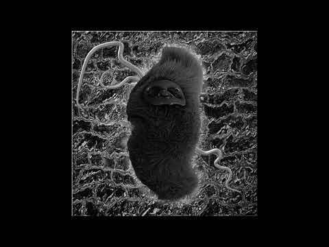 Cleaverhype - COTL3 (SKP020)