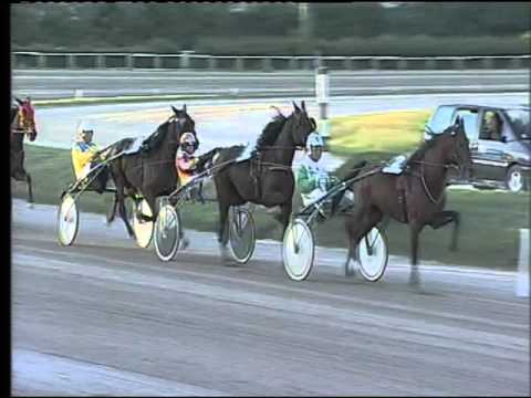 Trotto 01/11/2015 - 4° corsa