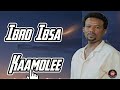 Ibro Ibsa Kaamolee New Oromo Music Video 2025 Lyrics Music