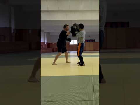 ミット打ち🥊(フック)