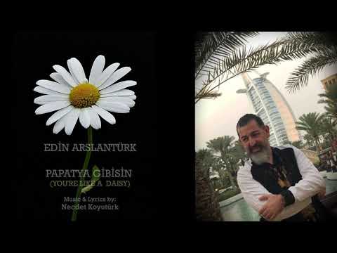 PAPATYA GİBİSİN (You're like a daisy) - أغنية رائعة. أنت مثل ديزي - EDİN ARSLANTÜRK
