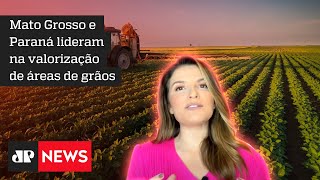 Hora H do Agro: preço da terra sobe no Brasil