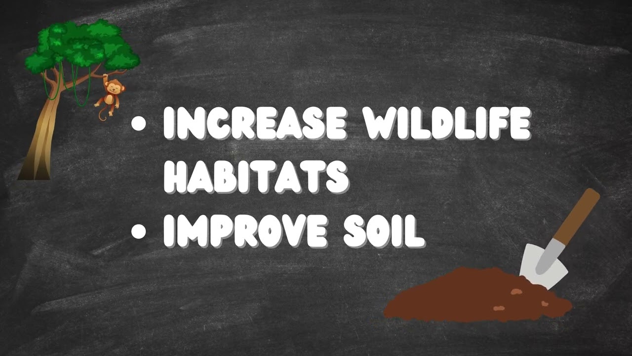 Planting trees by Kyla K., Eman A. and Georgia G. (Byron Somerset Public School Grade 7)