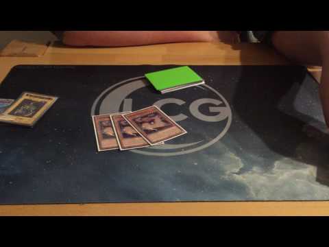 Niko Schlierkamp - Metalfoe Zoodiac - 1st Place Frankfurt Regional