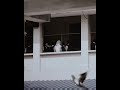 Parava Movie Whatsapp Status