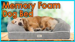 Best Memory Foam Dog Bed 2021 [Top 5 Picks]