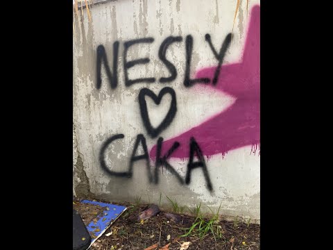 CakA - Nesly..