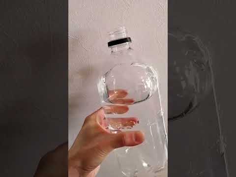 冬に植物を雪から守るにはどうすればよいですか？寒さや霜によるダメージを防ぐ4つのヒント  庭園