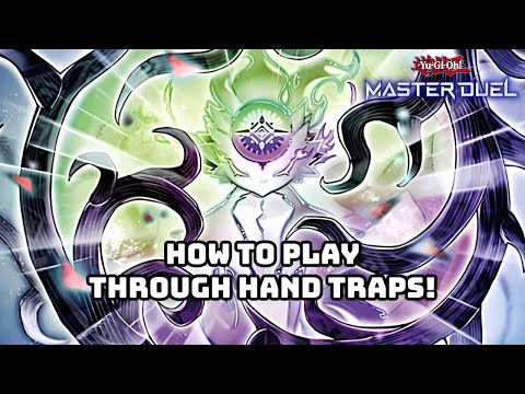 This Deck Has MORE PUSH THAN YOU MIGHT THINK! | White Forest Deck Primer