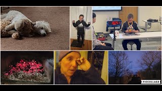 DITL:  Chit Chat... Speed Cubing and More