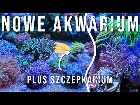 Moje nowe akwarium morskie 150l oraz szczepkarium 50l 🐠🪸