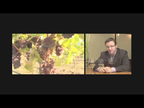 download lagu mp3 mp4 Pinot Blanc Food Pairing, download lagu Pinot Blanc Food Pairing gratis, unduh video klip Pinot Blanc Food Pairing