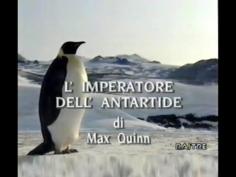 L'imperatore dell'Antartide "pinguino imperatore (Aptenodytes forsteri), Cape Crozier/Ross Sea" (NZ)