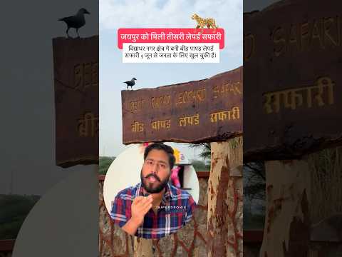 Beed Papad Safari Vidyadhar Nagar, Jaipur Jaipur Now Open. Jaipur Gets Its 3rd Leopard Safari 🐆🌿