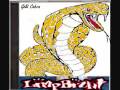 Limp Bizkit Gold Cobra CD
