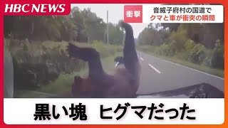 [問卦] 北海道是行人地獄嗎?