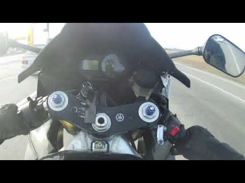 Alania moto. Ava Max - OMG What's Happening