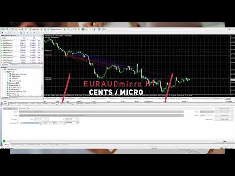 Video Equilibrium4cent