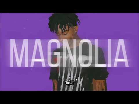 Playboi Carti - Magnolia (Instrumental) | Prod. KVNG Zuzi