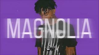 Playboi Carti - Magnolia (Instrumental) | Prod. KVNG Zuzi