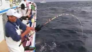 忠兵衛丸のイメージ