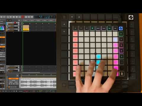 Novation Launchpad - New features for Bitwig Studio and Reaper - User and (Audio) Loop Length modes