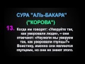 СУРА "АЛЬ-БАКАРА" ("КОРОВА") аят - 13 