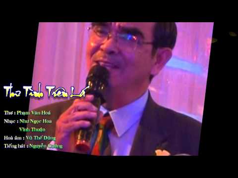 Thư tình trên lá Sheet - Nguyễn Cường