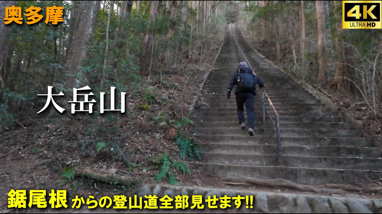 【登山体験】大岳山、鋸尾根は階段から始まるロングコース！！／氷川駐車場からの登山道全部見せます！／2026/01