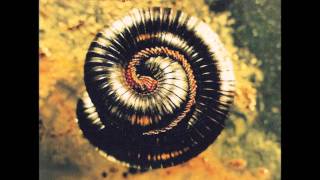 Nine Inch Nails- Memorabilia