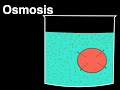 Osmosis