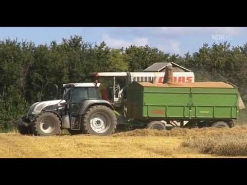 [Documentary] Farming in piecework, grain harvest at the Wulfhof, broadcast in October 2012