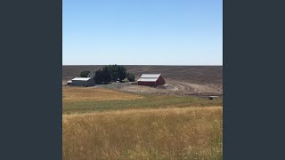 Sean Keel - Corn Palace video