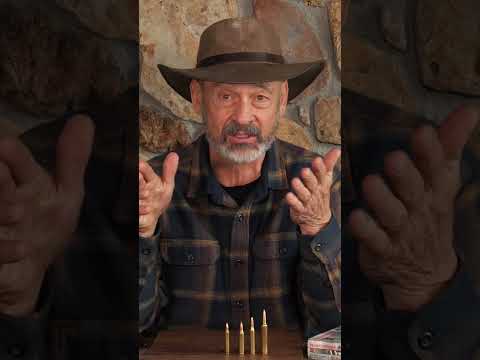 Was ist der 204 Ruger?