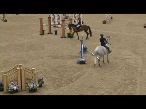 Chepstow International CSI2* - Day 1 - Class 3 CSI2* Small Tour 1.35m Grand Prix