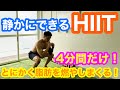 【静かにできるHIIT】短時間で強烈に脂肪を燃やす！！