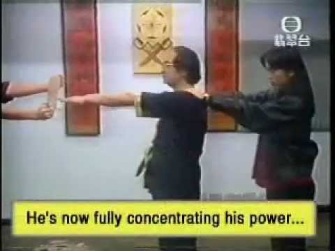 Leung Ting Wing Tsun 2.