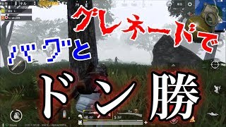 味方のバグとグレネードでドン勝した話【PUBG モバイル版】
