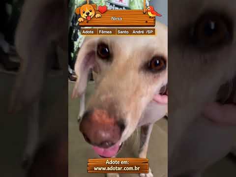 Vídeo de Nina