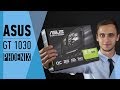 Видеокарта Asus GeForce GT 1030 PH-GT1030-O2G