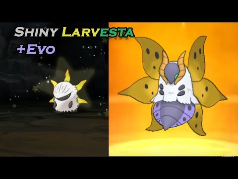 [Live] Shiny Larvesta+Evo from SOS chain in Pokemon Ultra Moon