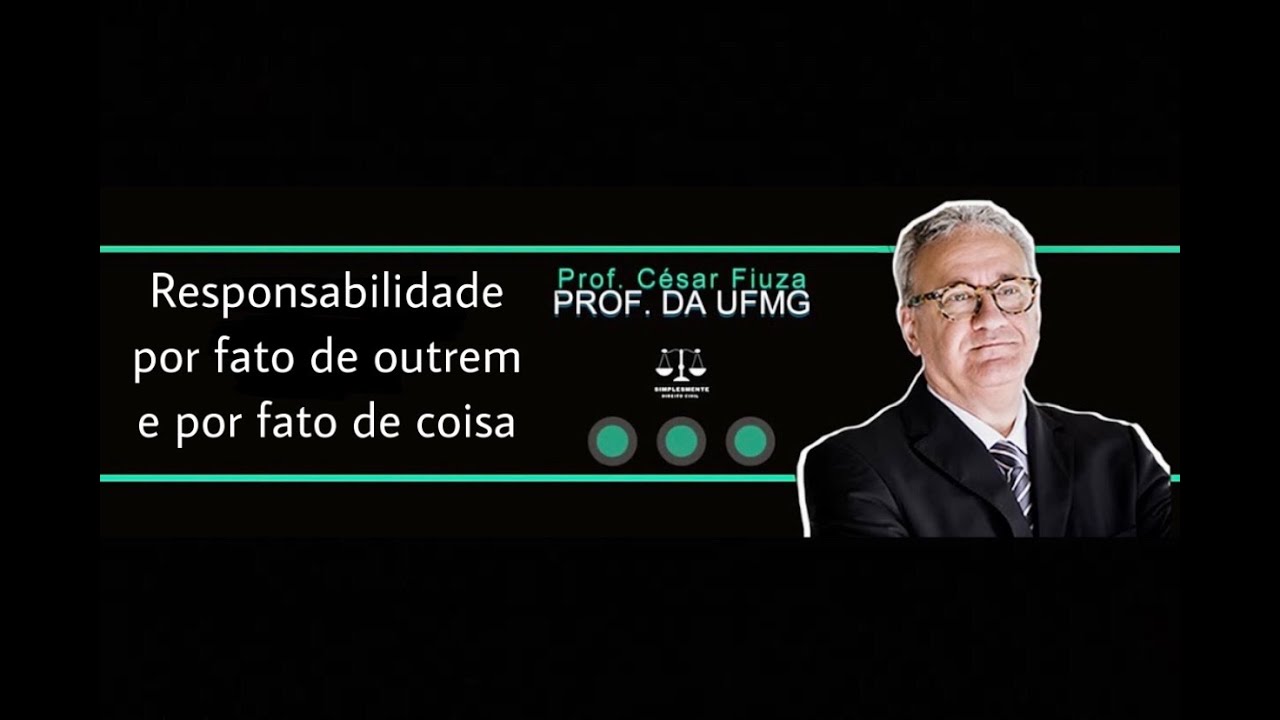 Responsabilidade por fato de outrem e por fato de coisa
